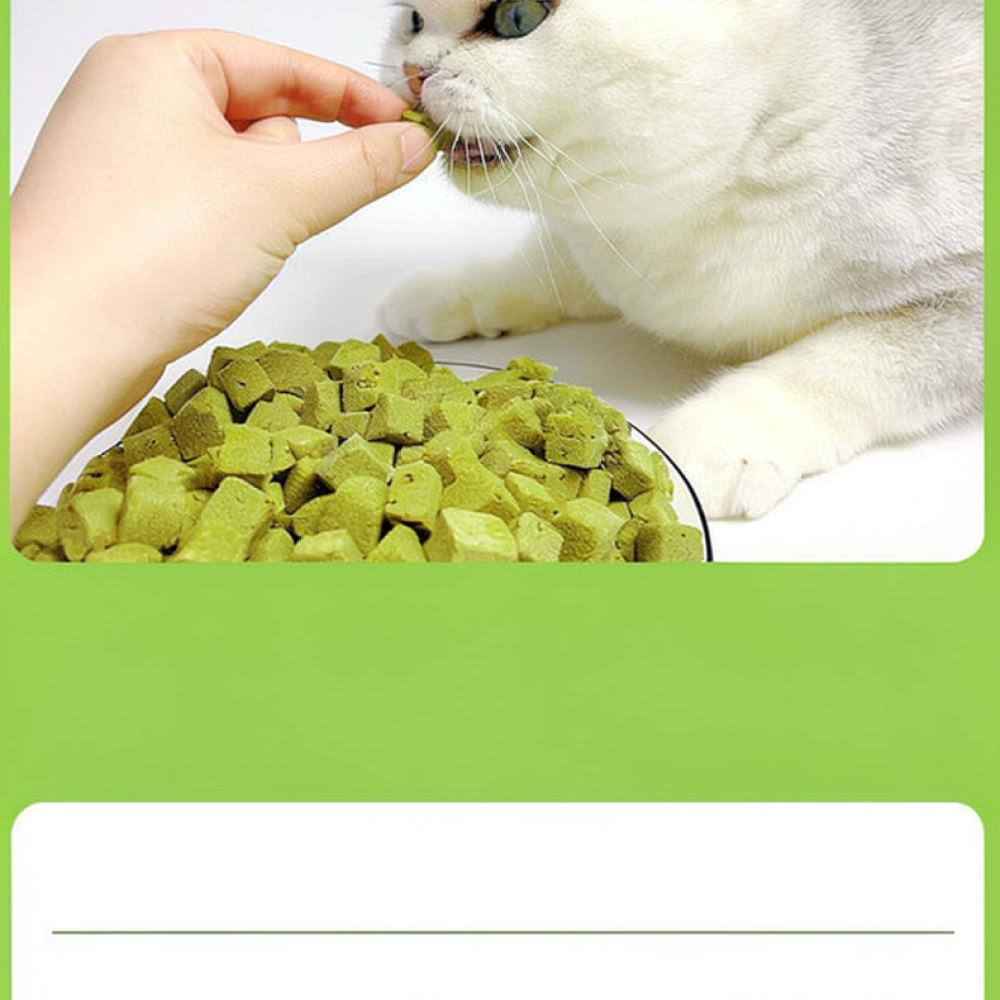 Rumput Kucing Kering Beku, Cam - Healthy Snacks Food ulasan dan harga