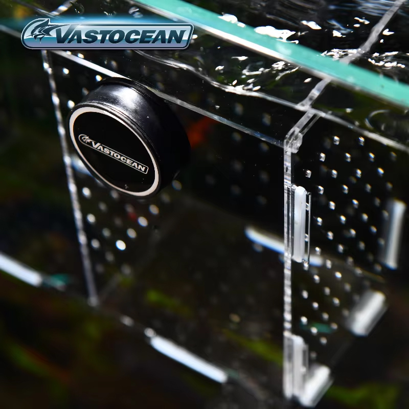 VASTOCEAN-Kotak Isolasi Peneta - Seaweed Snack ulasan dan harga